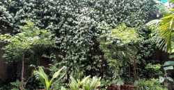 DIJUAL Rumah kost Tegal Parang Utara Jakarta Selatan