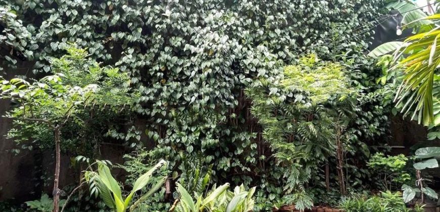 DIJUAL Rumah kost Tegal Parang Utara Jakarta Selatan