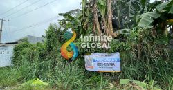 Disewakan Gudang di Citeureup Bogor Strategis Dekat Tol