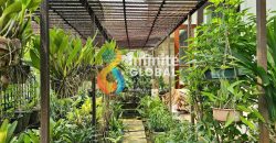 Dijual Rumah Tropical Klasik Kemang