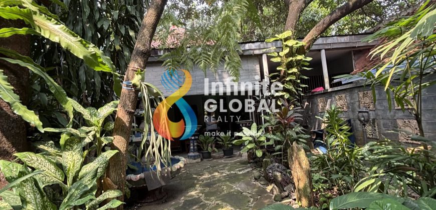 DIJUAL RUMAH TUA LOKASI EXCLUSIVE MENTENG