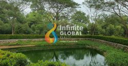 Dijual Cepat Rumah Baru Sudah Renovasi depan danau di Cluster Acacia Samanea Hill