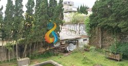 PELUANG EMAS! Beli Villa Tanah Hampir 5000m² di Lokasi Premium Cipanas. Nego Sampai DEAL!