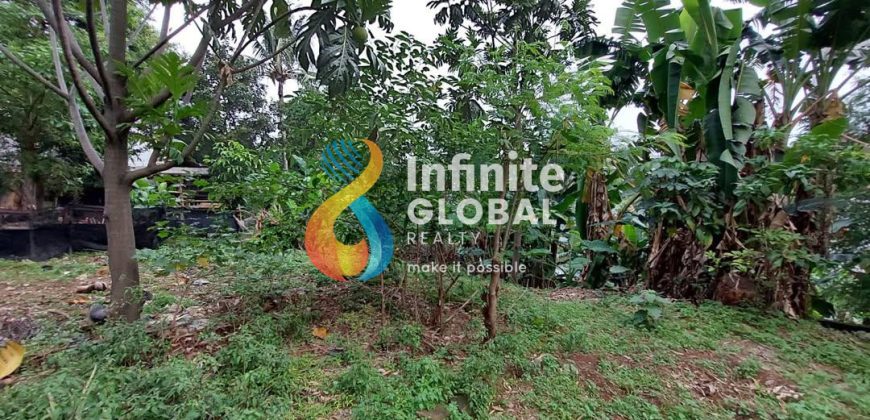 TANAH 3.235m² CIPEDAK JAGAKARSA DEKAT TOL DESARI SIAP CLUSTER!